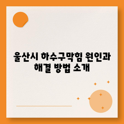 울산시 동구 남목3동 하수구막힘 | 가격 | 비용 | 기름제거 | 싱크대 | 변기 | 세면대 | 역류 | 냄새차단 | 2024 후기