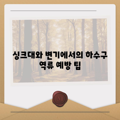 대전시 중구 대사동 하수구막힘 | 가격 | 비용 | 기름제거 | 싱크대 | 변기 | 세면대 | 역류 | 냄새차단 | 2024 후기