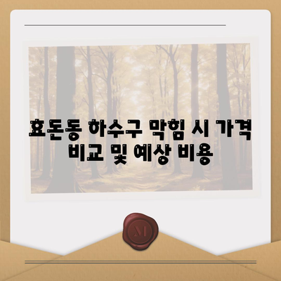 제주도 서귀포시 효돈동 하수구막힘 | 가격 | 비용 | 기름제거 | 싱크대 | 변기 | 세면대 | 역류 | 냄새차단 | 2024 후기