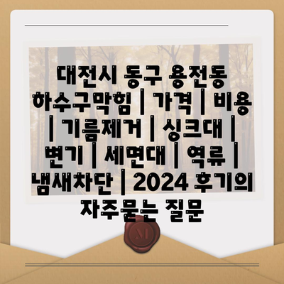 대전시 동구 용전동 하수구막힘 | 가격 | 비용 | 기름제거 | 싱크대 | 변기 | 세면대 | 역류 | 냄새차단 | 2024 후기