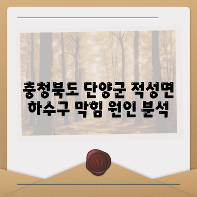 충청북도 단양군 적성면 하수구막힘 | 가격 | 비용 | 기름제거 | 싱크대 | 변기 | 세면대 | 역류 | 냄새차단 | 2024 후기