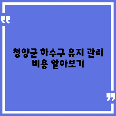 충청남도 청양군 남양면 하수구막힘 | 가격 | 비용 | 기름제거 | 싱크대 | 변기 | 세면대 | 역류 | 냄새차단 | 2024 후기