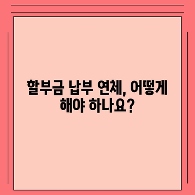 아이폰16 할부 소비자 권리 | 알아두어야 할 사항