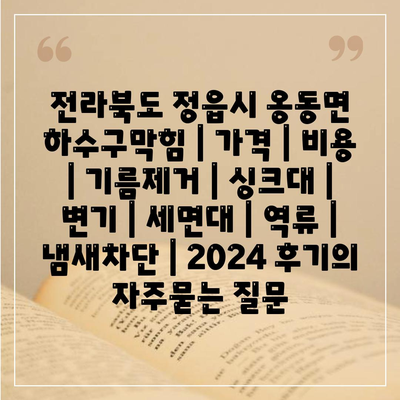 전라북도 정읍시 옹동면 하수구막힘 | 가격 | 비용 | 기름제거 | 싱크대 | 변기 | 세면대 | 역류 | 냄새차단 | 2024 후기