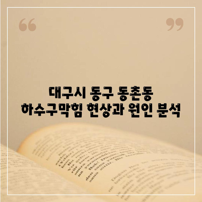 대구시 동구 동촌동 하수구막힘 | 가격 | 비용 | 기름제거 | 싱크대 | 변기 | 세면대 | 역류 | 냄새차단 | 2024 후기