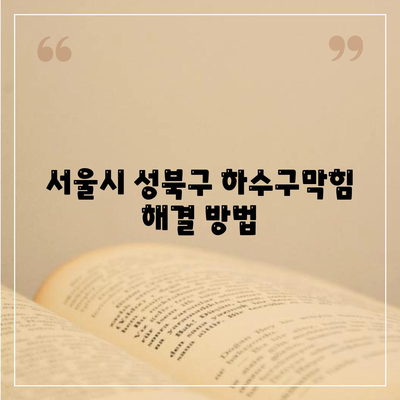 서울시 성북구 성북동 하수구막힘 | 가격 | 비용 | 기름제거 | 싱크대 | 변기 | 세면대 | 역류 | 냄새차단 | 2024 후기