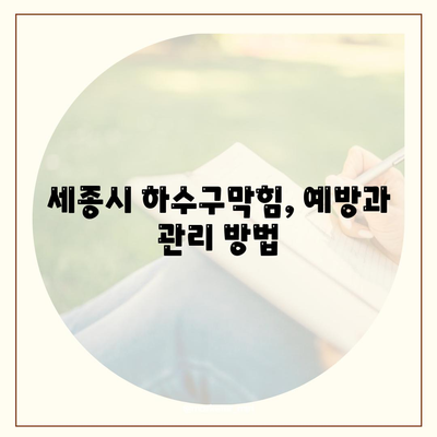 세종시 세종특별자치시 새롬동 하수구막힘 | 가격 | 비용 | 기름제거 | 싱크대 | 변기 | 세면대 | 역류 | 냄새차단 | 2024 후기