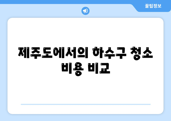 제주도 제주시 애월읍 하수구막힘 | 가격 | 비용 | 기름제거 | 싱크대 | 변기 | 세면대 | 역류 | 냄새차단 | 2024 후기