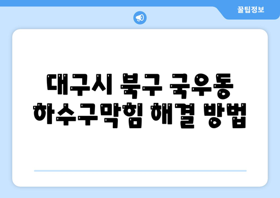 대구시 북구 국우동 하수구막힘 | 가격 | 비용 | 기름제거 | 싱크대 | 변기 | 세면대 | 역류 | 냄새차단 | 2024 후기