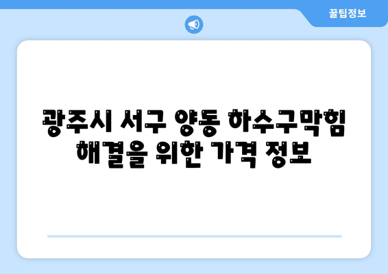 광주시 서구 양동 하수구막힘 | 가격 | 비용 | 기름제거 | 싱크대 | 변기 | 세면대 | 역류 | 냄새차단 | 2024 후기