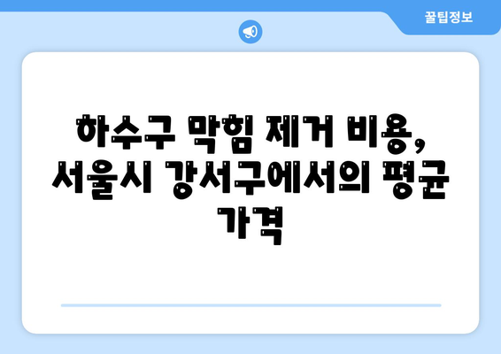 서울시 강서구 등촌제1동 하수구막힘 | 가격 | 비용 | 기름제거 | 싱크대 | 변기 | 세면대 | 역류 | 냄새차단 | 2024 후기