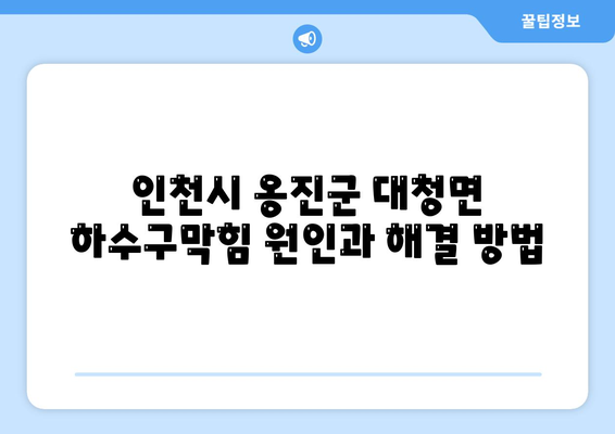 인천시 옹진군 대청면 하수구막힘 | 가격 | 비용 | 기름제거 | 싱크대 | 변기 | 세면대 | 역류 | 냄새차단 | 2024 후기