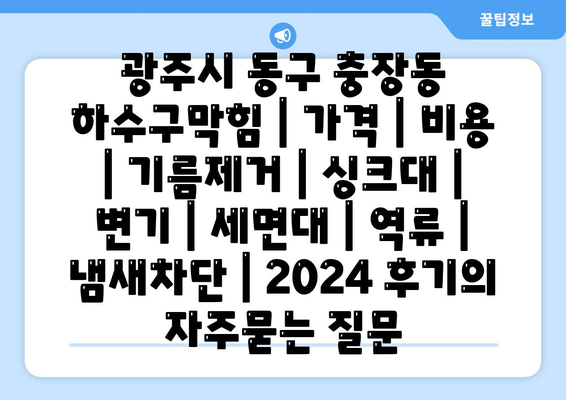 광주시 동구 충장동 하수구막힘 | 가격 | 비용 | 기름제거 | 싱크대 | 변기 | 세면대 | 역류 | 냄새차단 | 2024 후기