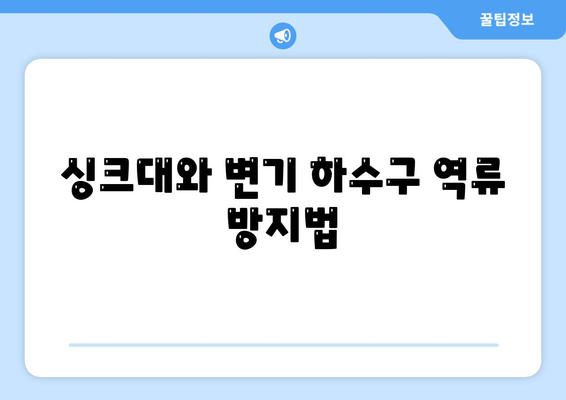 대전시 동구 용전동 하수구막힘 | 가격 | 비용 | 기름제거 | 싱크대 | 변기 | 세면대 | 역류 | 냄새차단 | 2024 후기