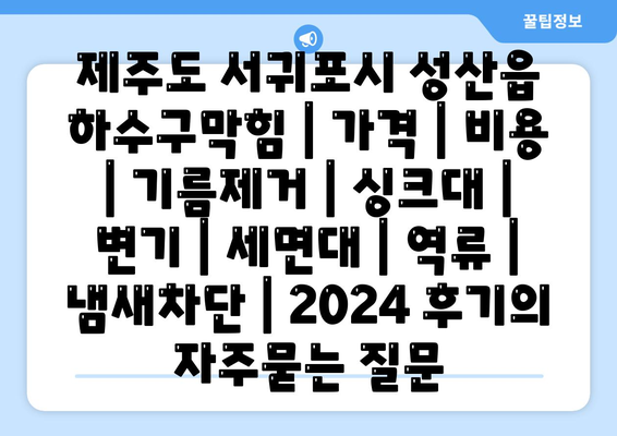 제주도 서귀포시 성산읍 하수구막힘 | 가격 | 비용 | 기름제거 | 싱크대 | 변기 | 세면대 | 역류 | 냄새차단 | 2024 후기