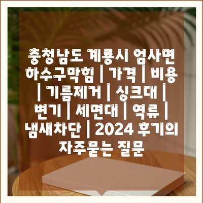 충청남도 계룡시 엄사면 하수구막힘 | 가격 | 비용 | 기름제거 | 싱크대 | 변기 | 세면대 | 역류 | 냄새차단 | 2024 후기