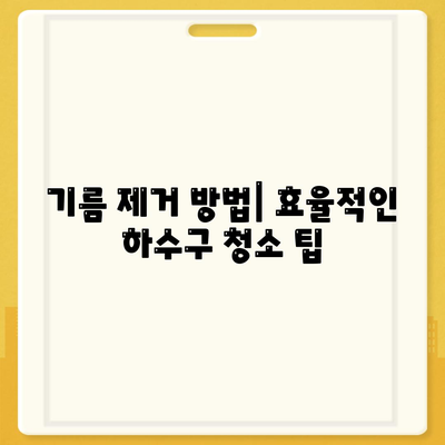 전라남도 곡성군 옥과면 하수구막힘 | 가격 | 비용 | 기름제거 | 싱크대 | 변기 | 세면대 | 역류 | 냄새차단 | 2024 후기