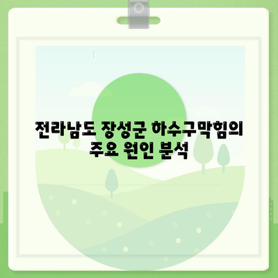 전라남도 장성군 황룡면 하수구막힘 | 가격 | 비용 | 기름제거 | 싱크대 | 변기 | 세면대 | 역류 | 냄새차단 | 2024 후기