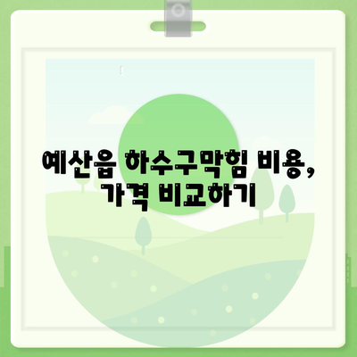 충청남도 예산군 예산읍 하수구막힘 | 가격 | 비용 | 기름제거 | 싱크대 | 변기 | 세면대 | 역류 | 냄새차단 | 2024 후기