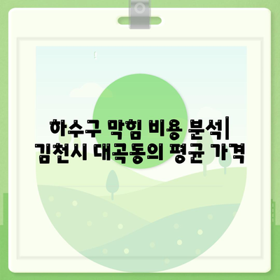 경상북도 김천시 대곡동 하수구막힘 | 가격 | 비용 | 기름제거 | 싱크대 | 변기 | 세면대 | 역류 | 냄새차단 | 2024 후기