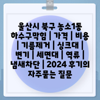 울산시 북구 농소1동 하수구막힘 | 가격 | 비용 | 기름제거 | 싱크대 | 변기 | 세면대 | 역류 | 냄새차단 | 2024 후기