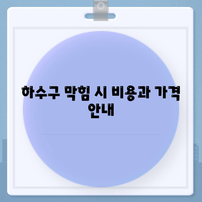 대전시 동구 대청동 하수구막힘 | 가격 | 비용 | 기름제거 | 싱크대 | 변기 | 세면대 | 역류 | 냄새차단 | 2024 후기