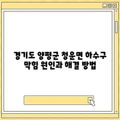 경기도 양평군 청운면 하수구막힘 | 가격 | 비용 | 기름제거 | 싱크대 | 변기 | 세면대 | 역류 | 냄새차단 | 2024 후기