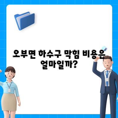 경상남도 산청군 오부면 하수구막힘 | 가격 | 비용 | 기름제거 | 싱크대 | 변기 | 세면대 | 역류 | 냄새차단 | 2024 후기