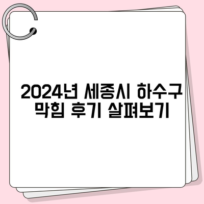 세종시 세종특별자치시 소정면 하수구막힘 | 가격 | 비용 | 기름제거 | 싱크대 | 변기 | 세면대 | 역류 | 냄새차단 | 2024 후기