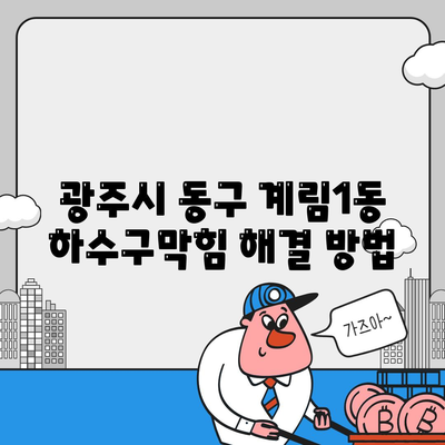 광주시 동구 계림1동 하수구막힘 | 가격 | 비용 | 기름제거 | 싱크대 | 변기 | 세면대 | 역류 | 냄새차단 | 2024 후기