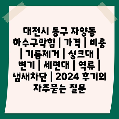 대전시 동구 자양동 하수구막힘 | 가격 | 비용 | 기름제거 | 싱크대 | 변기 | 세면대 | 역류 | 냄새차단 | 2024 후기