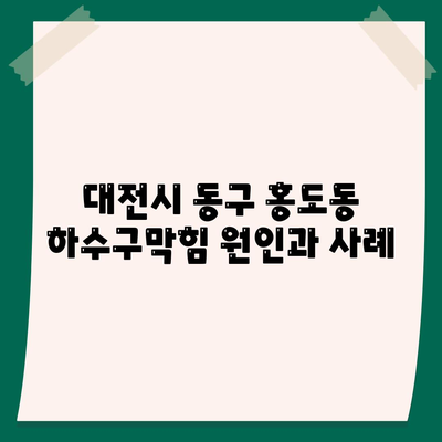 대전시 동구 홍도동 하수구막힘 | 가격 | 비용 | 기름제거 | 싱크대 | 변기 | 세면대 | 역류 | 냄새차단 | 2024 후기