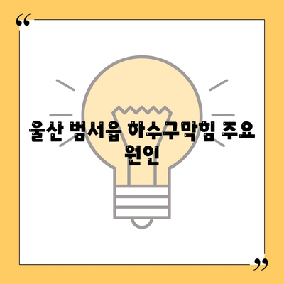 울산시 울주군 범서읍 하수구막힘 | 가격 | 비용 | 기름제거 | 싱크대 | 변기 | 세면대 | 역류 | 냄새차단 | 2024 후기