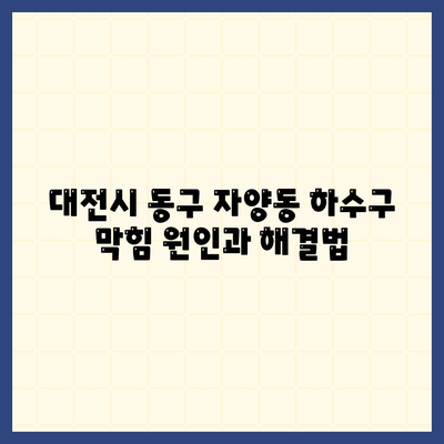 대전시 동구 자양동 하수구막힘 | 가격 | 비용 | 기름제거 | 싱크대 | 변기 | 세면대 | 역류 | 냄새차단 | 2024 후기