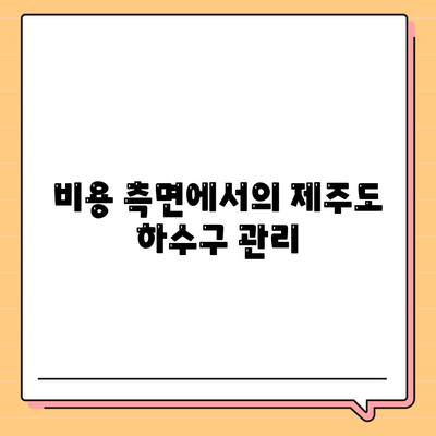 제주도 제주시 삼양동 하수구막힘 | 가격 | 비용 | 기름제거 | 싱크대 | 변기 | 세면대 | 역류 | 냄새차단 | 2024 후기