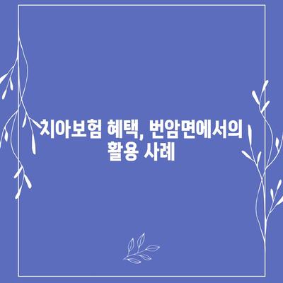 전라북도 장수군 번암면 치아보험 가격 | 치과보험 | 추천 | 비교 | 에이스 | 라이나 | 가입조건 | 2024