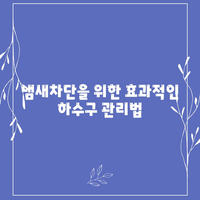 대구시 북구 관문동 하수구막힘 | 가격 | 비용 | 기름제거 | 싱크대 | 변기 | 세면대 | 역류 | 냄새차단 | 2024 후기