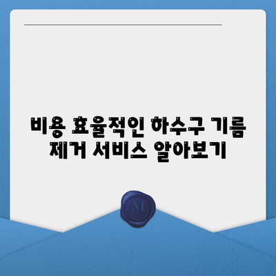 광주시 서구 금호2동 하수구막힘 | 가격 | 비용 | 기름제거 | 싱크대 | 변기 | 세면대 | 역류 | 냄새차단 | 2024 후기