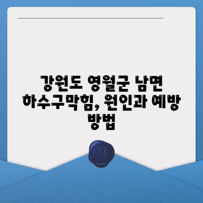 강원도 영월군 남면 하수구막힘 | 가격 | 비용 | 기름제거 | 싱크대 | 변기 | 세면대 | 역류 | 냄새차단 | 2024 후기