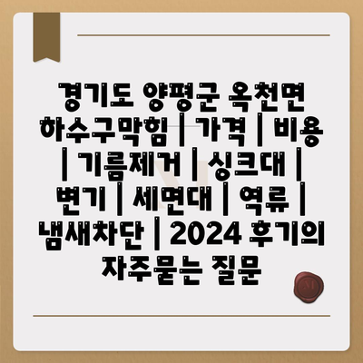 경기도 양평군 옥천면 하수구막힘 | 가격 | 비용 | 기름제거 | 싱크대 | 변기 | 세면대 | 역류 | 냄새차단 | 2024 후기