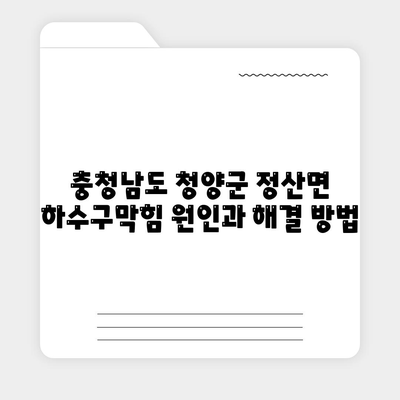 충청남도 청양군 정산면 하수구막힘 | 가격 | 비용 | 기름제거 | 싱크대 | 변기 | 세면대 | 역류 | 냄새차단 | 2024 후기