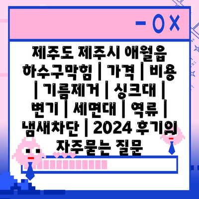 제주도 제주시 애월읍 하수구막힘 | 가격 | 비용 | 기름제거 | 싱크대 | 변기 | 세면대 | 역류 | 냄새차단 | 2024 후기