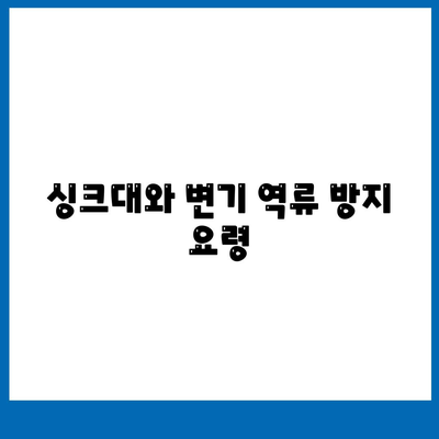 대전시 서구 갈마2동 하수구막힘 | 가격 | 비용 | 기름제거 | 싱크대 | 변기 | 세면대 | 역류 | 냄새차단 | 2024 후기