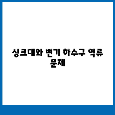 세종시 세종특별자치시 고운동 하수구막힘 | 가격 | 비용 | 기름제거 | 싱크대 | 변기 | 세면대 | 역류 | 냄새차단 | 2024 후기