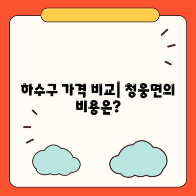 전라북도 임실군 청웅면 하수구막힘 | 가격 | 비용 | 기름제거 | 싱크대 | 변기 | 세면대 | 역류 | 냄새차단 | 2024 후기