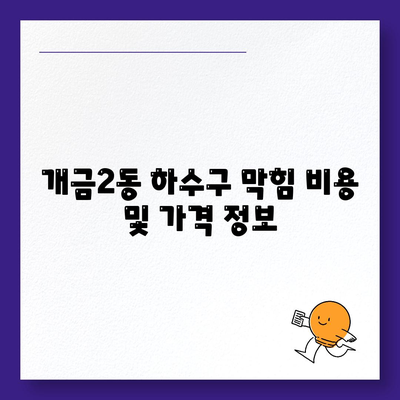 부산시 부산진구 개금2동 하수구막힘 | 가격 | 비용 | 기름제거 | 싱크대 | 변기 | 세면대 | 역류 | 냄새차단 | 2024 후기