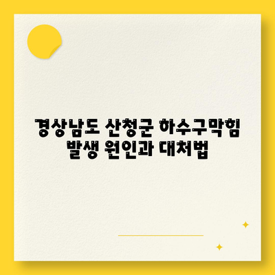 경상남도 산청군 산청읍 하수구막힘 | 가격 | 비용 | 기름제거 | 싱크대 | 변기 | 세면대 | 역류 | 냄새차단 | 2024 후기