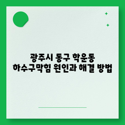 광주시 동구 학운동 하수구막힘 | 가격 | 비용 | 기름제거 | 싱크대 | 변기 | 세면대 | 역류 | 냄새차단 | 2024 후기