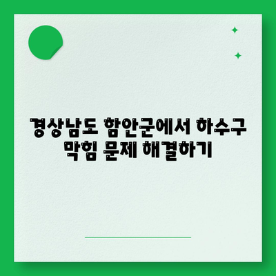 경상남도 함안군 칠북면 하수구막힘 | 가격 | 비용 | 기름제거 | 싱크대 | 변기 | 세면대 | 역류 | 냄새차단 | 2024 후기