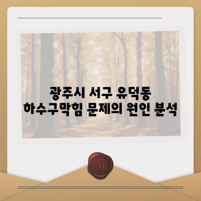 광주시 서구 유덕동 하수구막힘 | 가격 | 비용 | 기름제거 | 싱크대 | 변기 | 세면대 | 역류 | 냄새차단 | 2024 후기